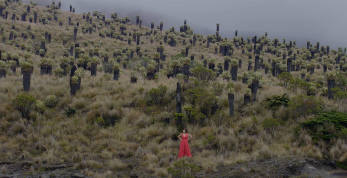 Proyectos españoles con acento latino: coproducciones naturales en el Marché du Film