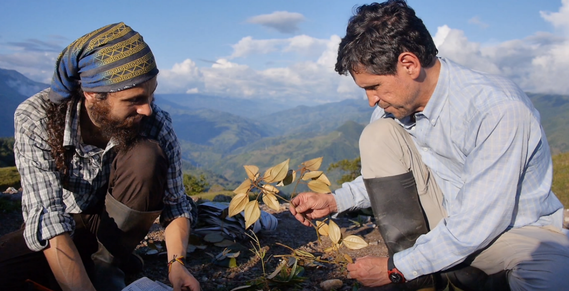 BAM 2017: Creaciones de autor en la nueva cosecha documental colombiana