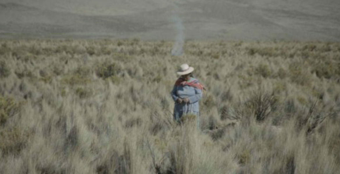 FICValdivia 2016: Seis nuevos directores se presentan en la competencia chilena