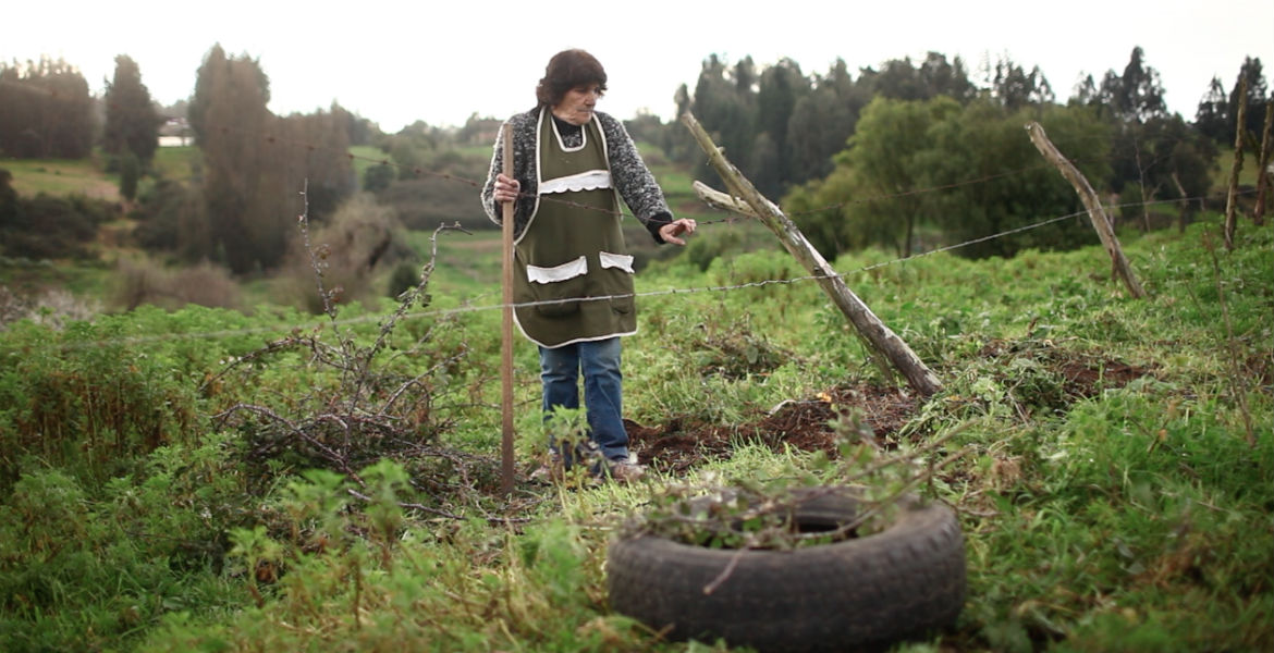 Cine chileno del futuro: nuevos proyectos en desarrollo y postproducción crecen en Valdivia