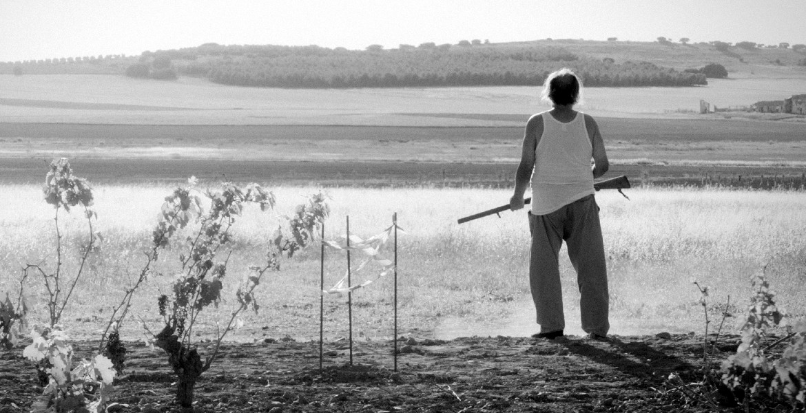 “Tierra de nuestras madres” de Liz Lobato (España)