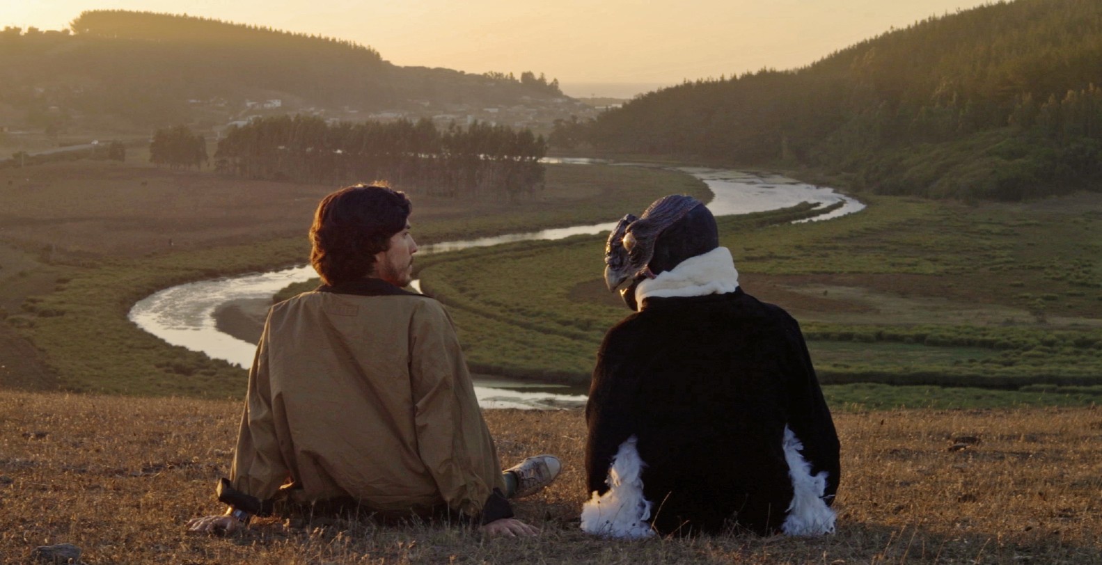 El cine chileno del futuro crece en FICValdivia