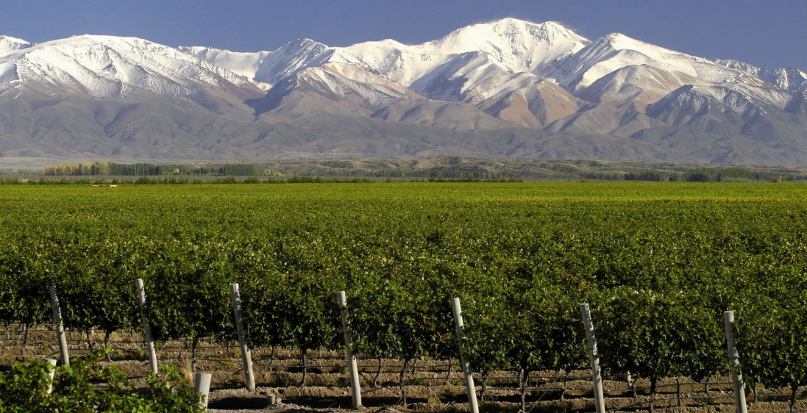 Mendoza, la tierra del vino que busca convertirse en polo audiovisual