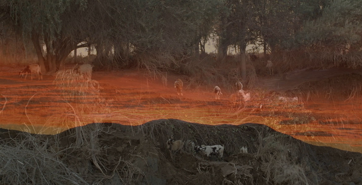 Agua en el desierto: estrenos chilenos de FIC Valdivia exploran la relación entre los paisajes del país y las emociones humanas