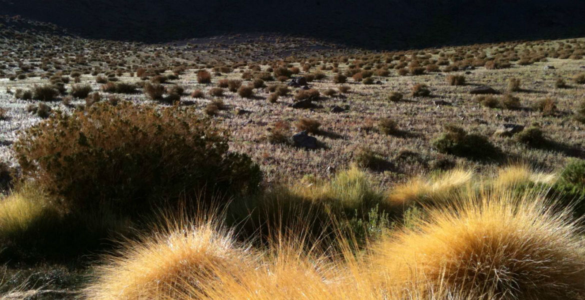 Chile a través de la lente de Inti Briones