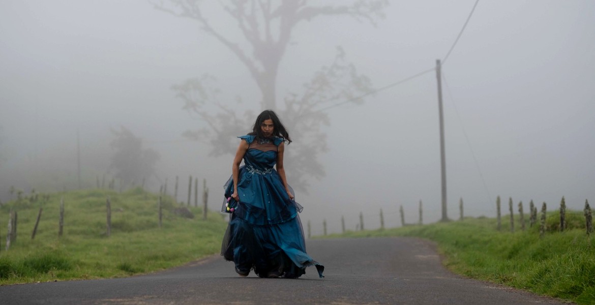 El cine latinoamericano presenta sus mejores cartas en la carrera por los Oscars