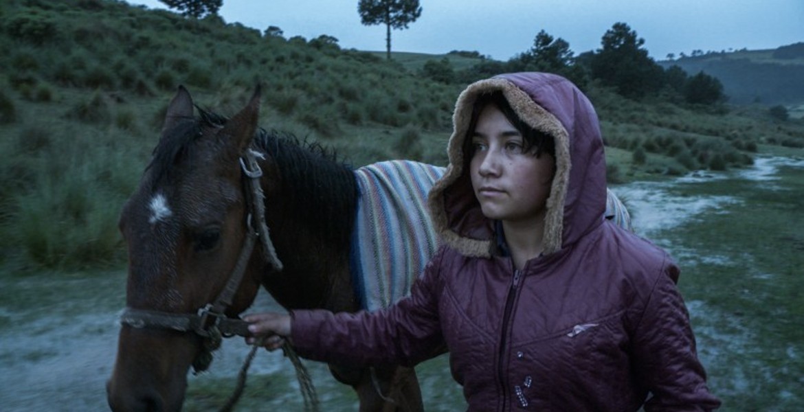 Presencia latina en la 73ª Berlinale se reparte entre la Sección oficial y las paralelas