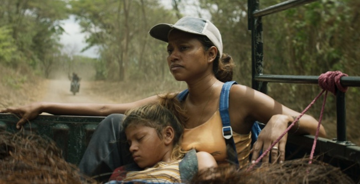 Cine latinoamericano en el 70° Festival de San Sebastián: una presencia transversal