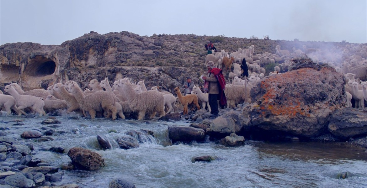 Hot Docs presenta una veintena de filmes de la región y pone foco en el documental chileno